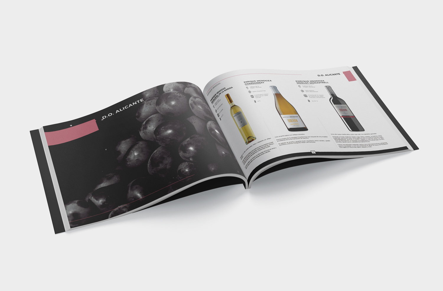 diseño catálogo, catálogo de vino, diseño editorial